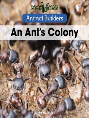 cover image of An Ant's Colony